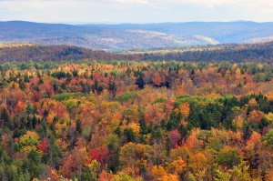 Herfst in New England | New England